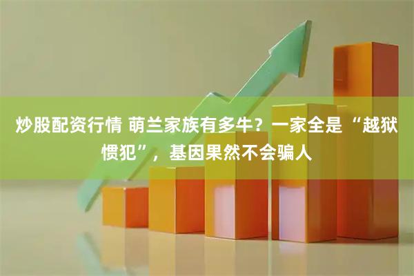 炒股配资行情 萌兰家族有多牛？一家全是 “越狱惯犯”，基因果然不会骗人